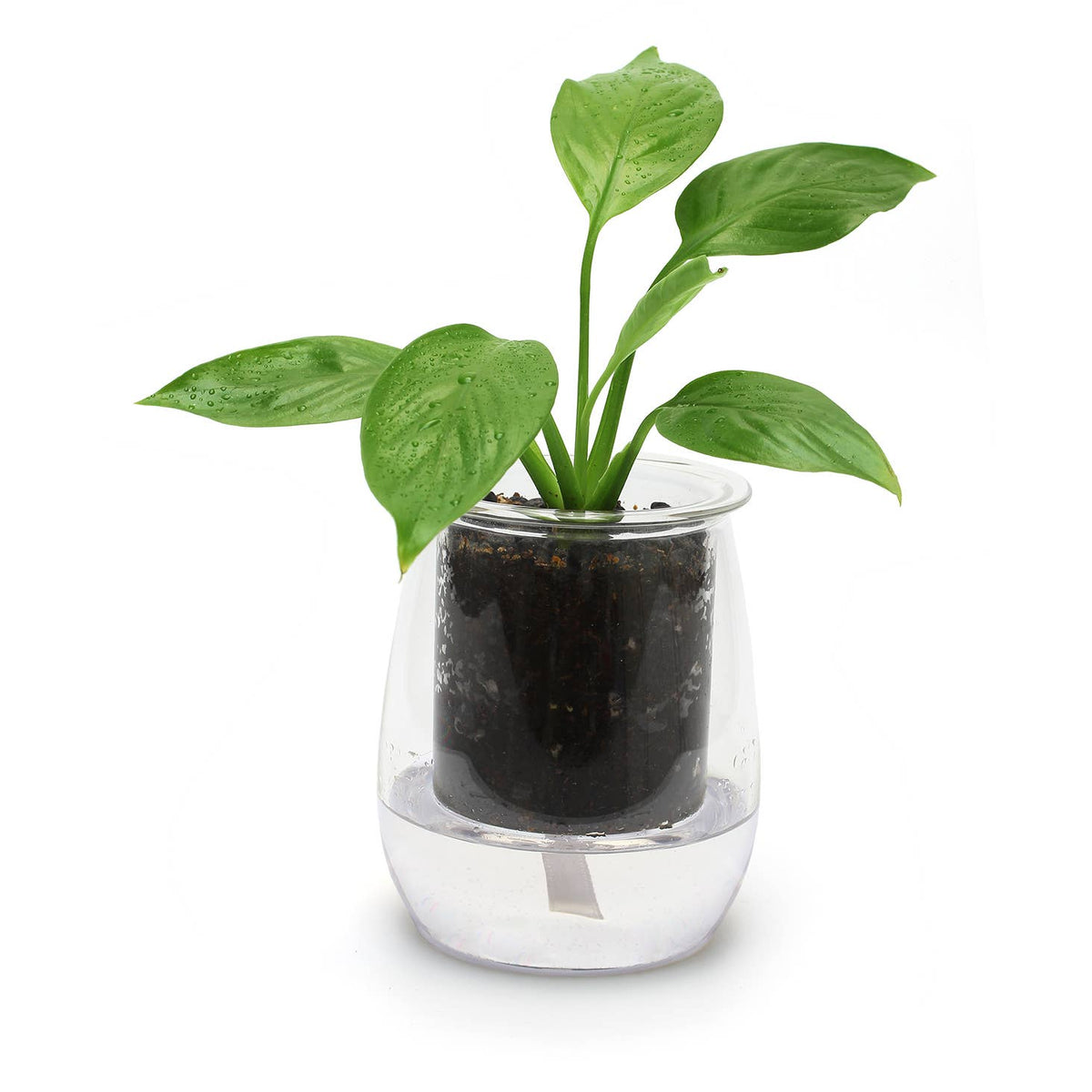glass plant pots Mini Self-Watering Planter– Kris Dry Goods